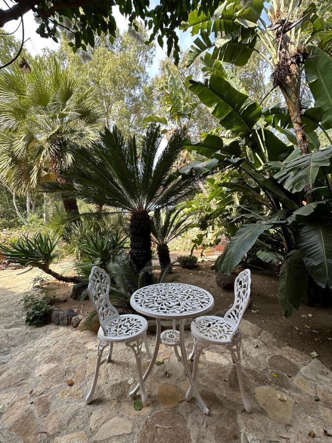 Villa La Petite Etoile Torre delle Stelle Eksteriør billede